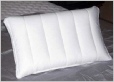 Anatom-Pillow